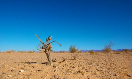 Clima, l’apartheid del ventunesimo secolo.