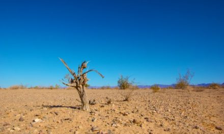 Clima, l’apartheid del ventunesimo secolo.