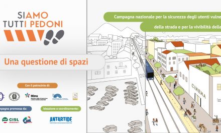 circoscr. 7 Torino ore 14.15 da via oropa 35 – gli alberi che camminano