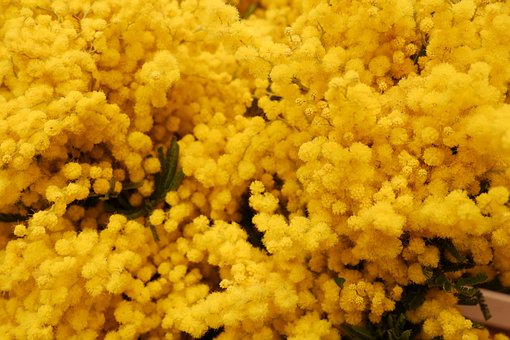 INIZIATIVE festa della donna 8 MARZO 2023 e non solo